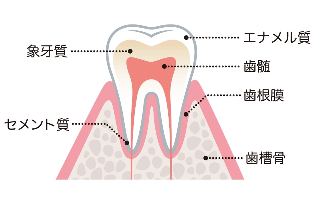 mouth5