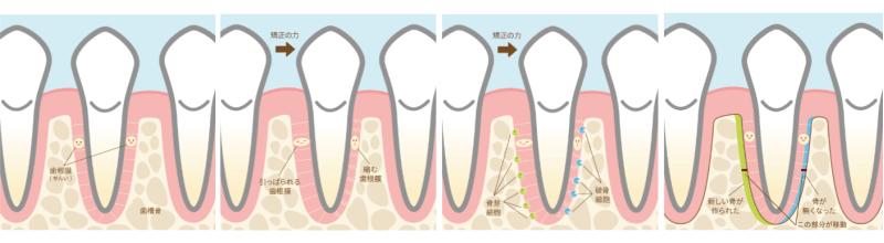 mouth6